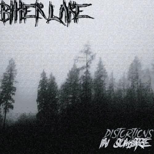 Bitter Lake : Distortions in Sombre